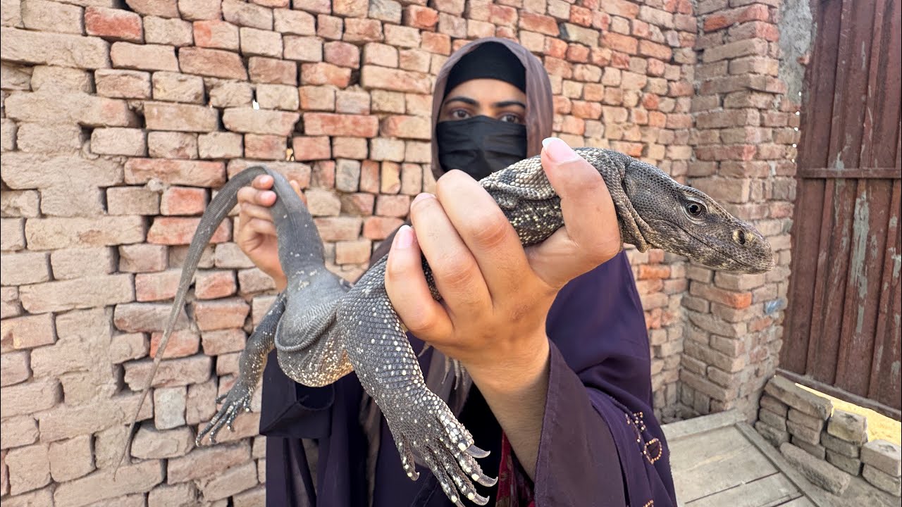 Monitor Lizard Trapped in a Deep Tank |Dramatic Wildlife Rescue |