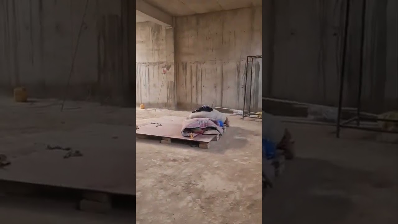 plaster inspection