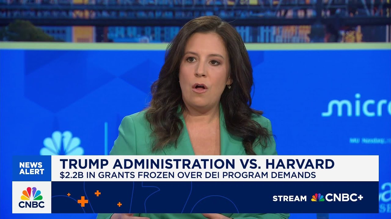 Rep. Elise Stefanik: There is 'nearly zero' ideological diversity at Harvard