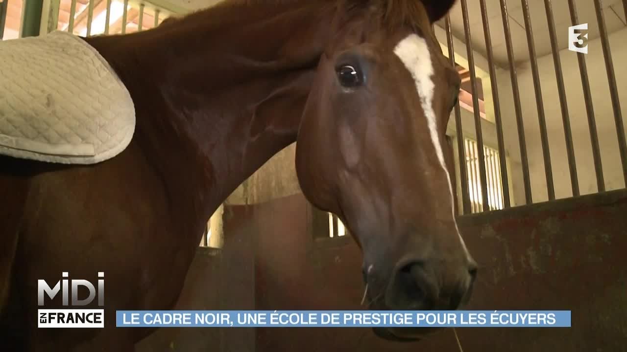 ANIMAUX : Le Cadre Noir, une école de prestige pour les écuyers
