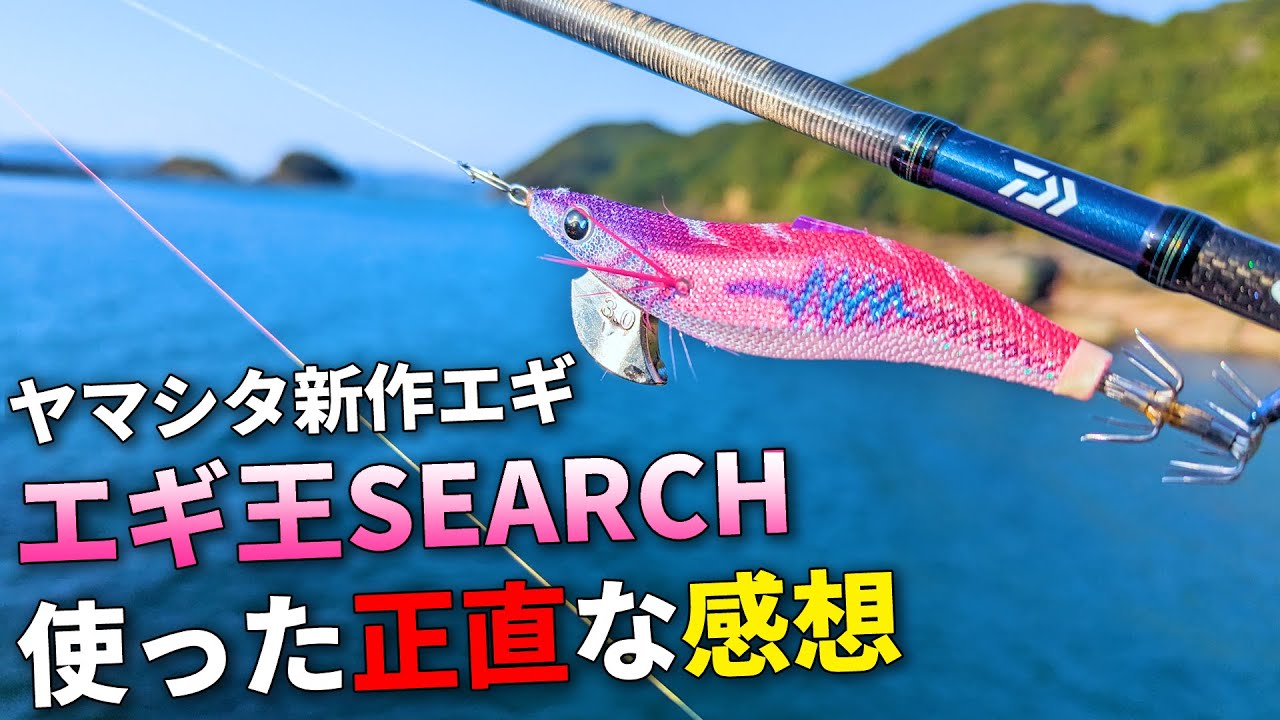 本音の感想。大人気エギメーカーの新作エギを使ってみて感じた事を、釣りながら話します。