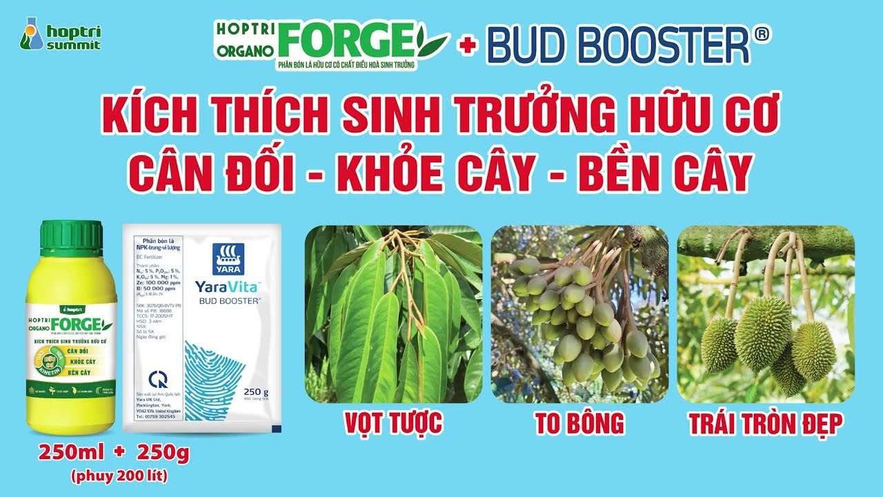 BUD BOOSTER + ORGANO FORGE: GI&Uacute;P SẦU RI&Ecirc;NG PH&Aacute;T TRIỂN TO&Agrave;N DIỆN | HỢP TR&Iacute; SUMMIT