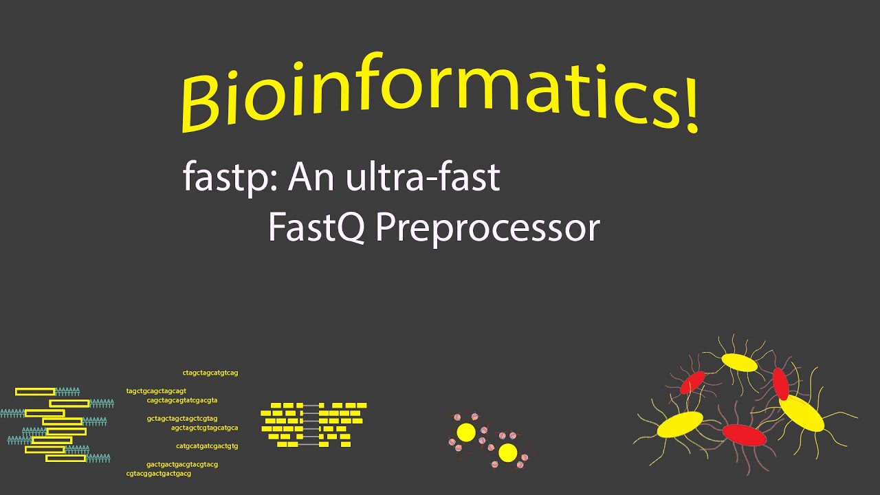 Биоинформатика - инструмент предварительной обработки fastp FastQ (временные метки)