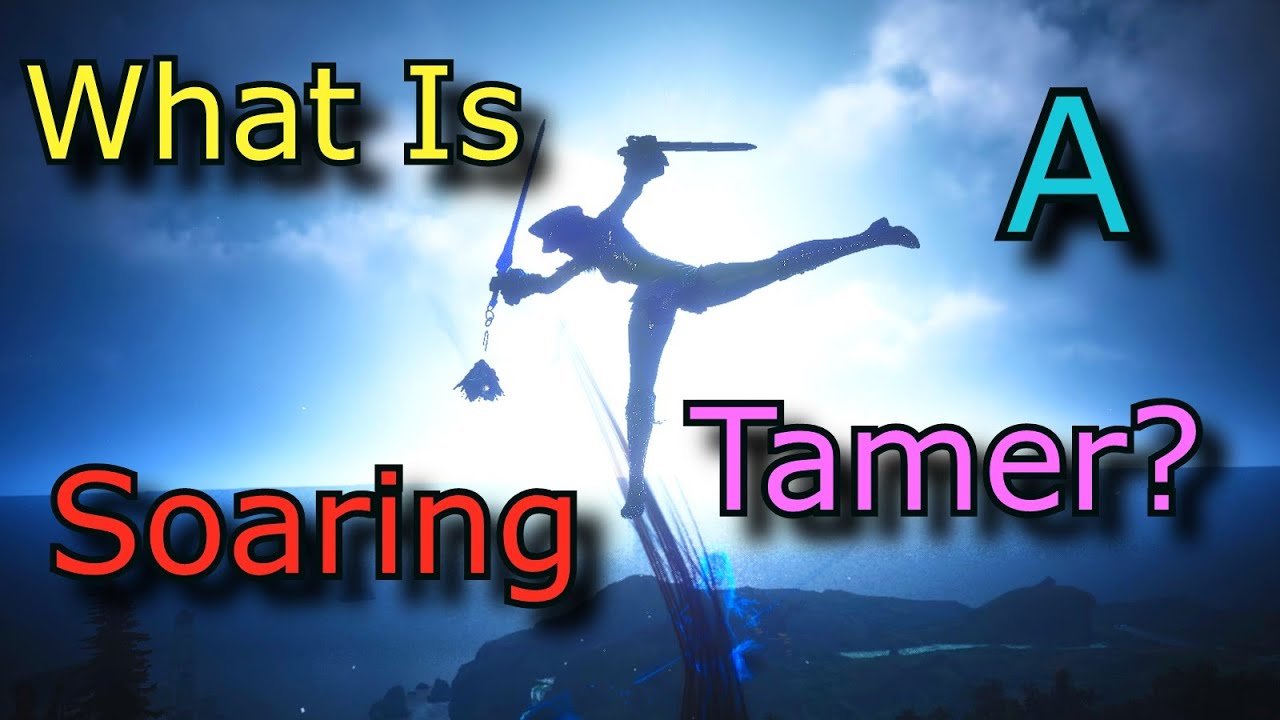 ~*What Is a Flying Tamer~*