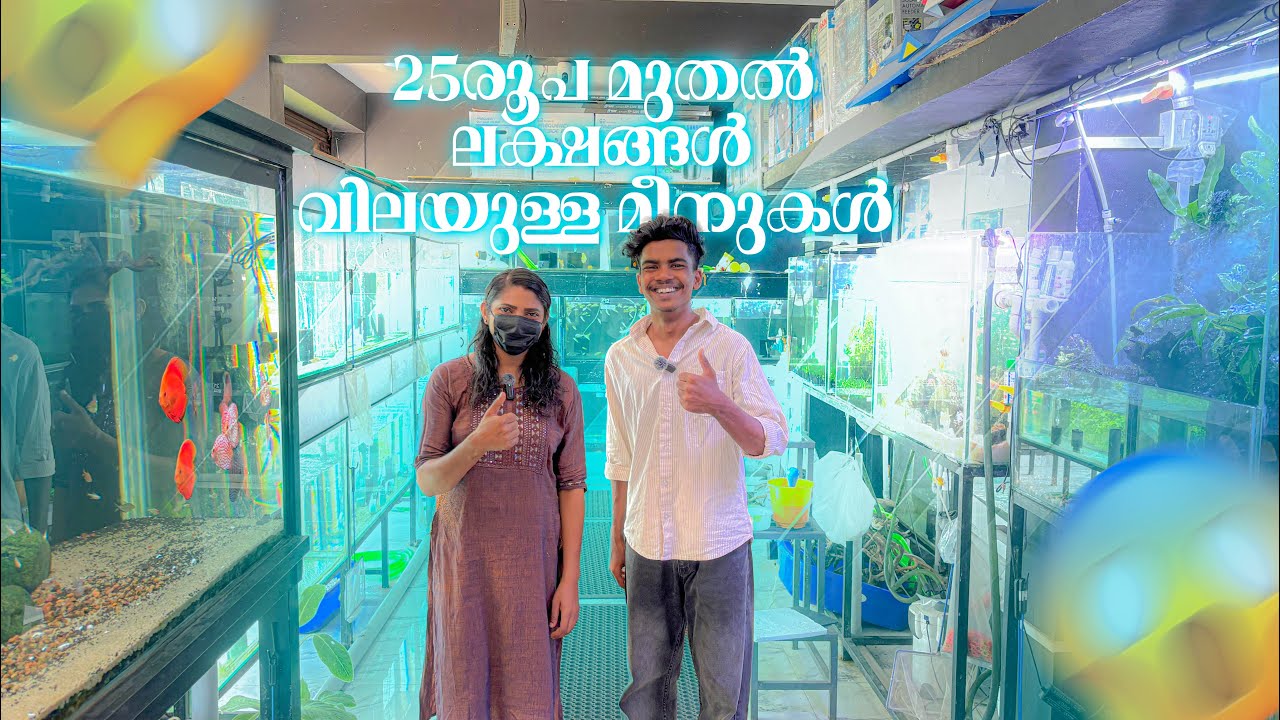 🤯ലക്ഷങ്ങൾ വിലയുള്ള മീനുകൾ ചെയ്യുന്ന ഷോപ്പ് 🐠 | EXOTIC PET SHOP KERALA | #pets #kvmaqua #exotic