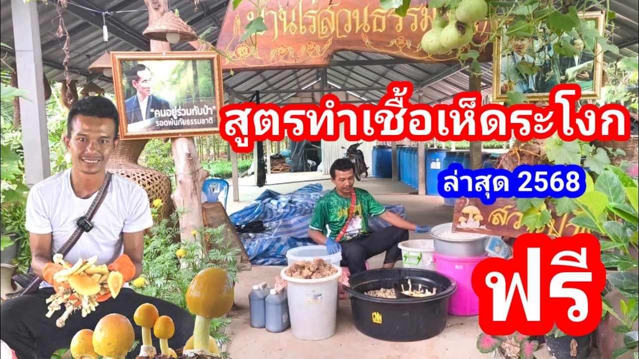 สูตรการทำเชื้อเห็ดละโงกได้ผล 100% โดยอาจารย์ข้าวปุ้นบ้านไร่สวนธรรม ผู้ประสบผลสำเร็จในการเพาะเชื้อ