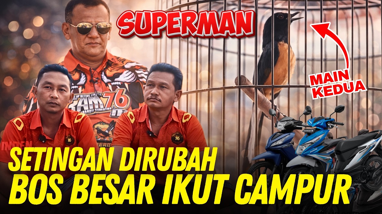 Rawatan Murai SUPERMAN Terbaru Komplit ‼️ Main Kedua Bos Tambah Jangkrik ‼️ Juara 1 Lagi di SMM