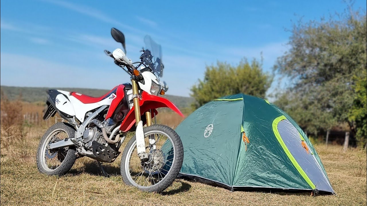 la CARPA IDEAL🤔, buscando algo bueno (relacio precio/calidad)