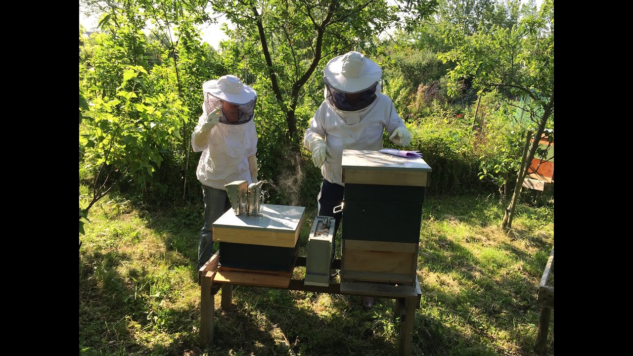 Die Honigmacher von Schloss Tonndorf 1/5 - Das Bienenjahr beginnt