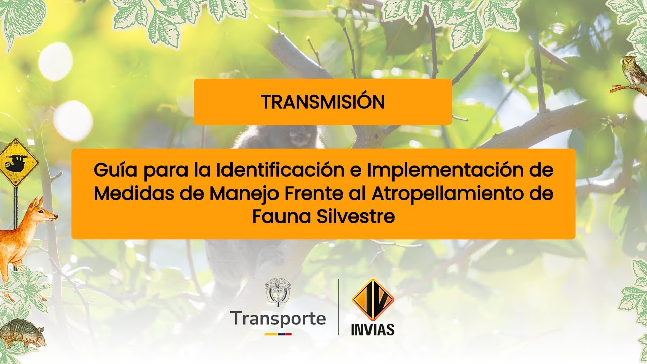 Guía Identificación e Implementación de Medidas de Manejo Frente al Atropellamiento de Fauna