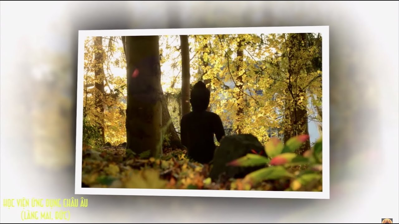 Rừng Thu Sala [Thiền Ca Làng Mai] Sáng Tác & Trình Bày: Thầy Pháp Thiên