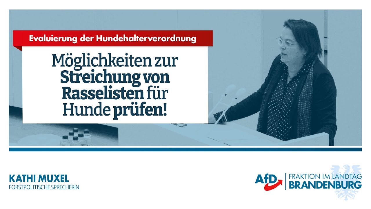 🐕&zwj;🦺 Evaluierung der Hundehalterverordnung | Kathi Muxel