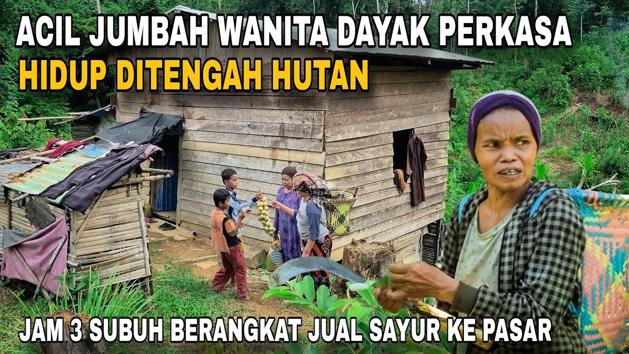 Kehidupan Kampung Dayak Yang Hanya dihuni 1 Keluarga Saja, Pedalaman Sungai Soko Kalimantan Tengah