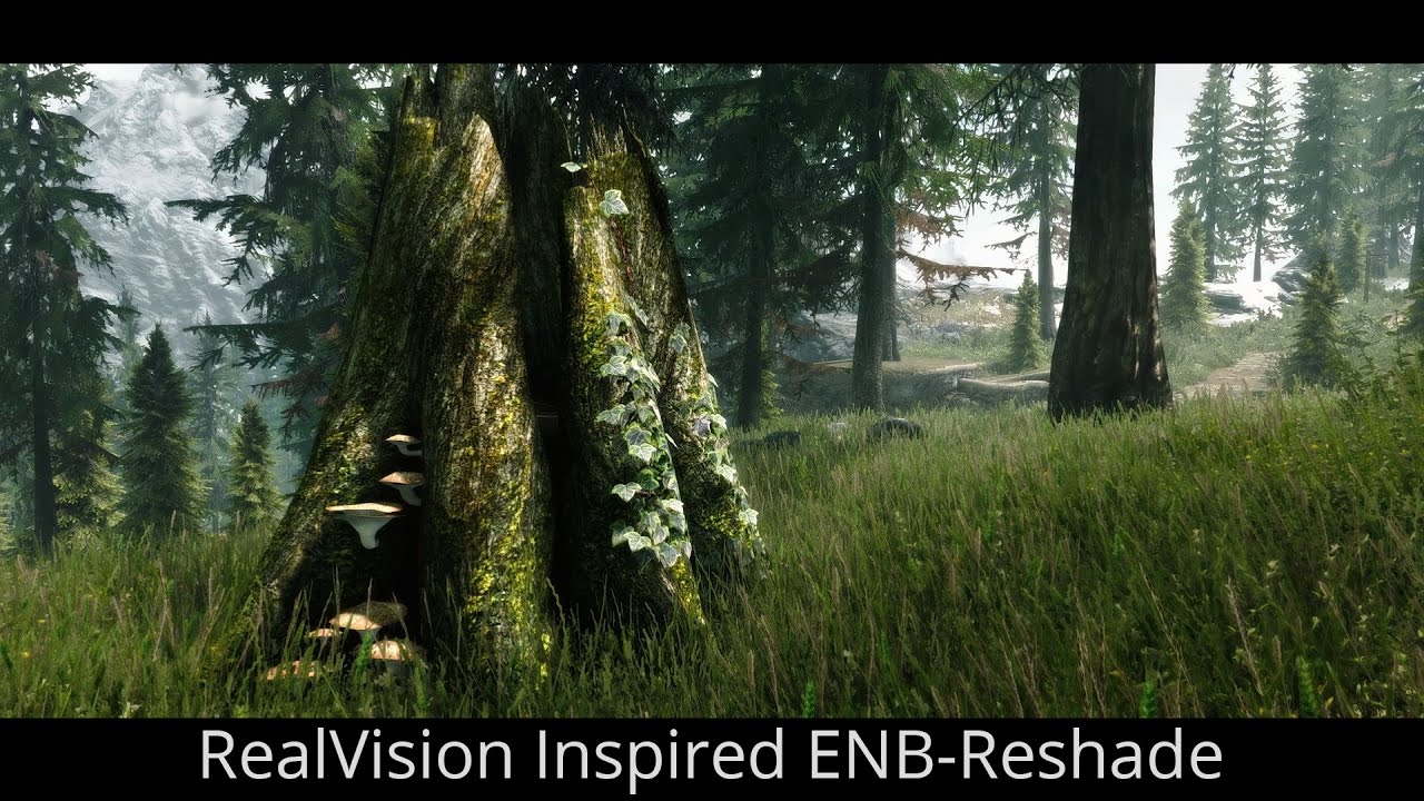 SKYRIM SE ENB - Nyclix's RealVision Inspired ENB-Reshade