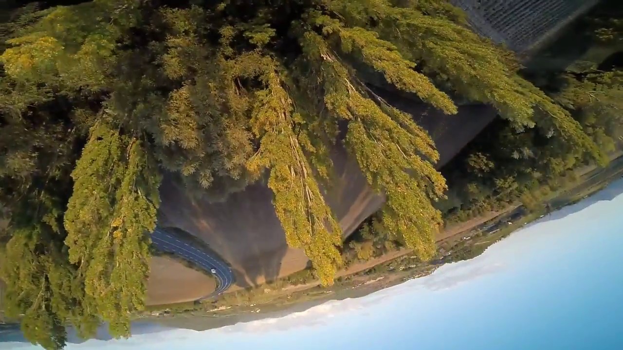 Test Dys Samguk Wei 2207 2600Kv