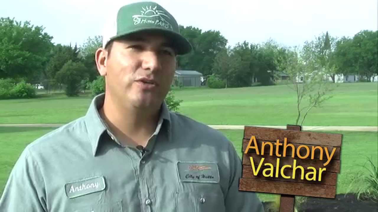 Hutto Parks & Recreation Parks Supervisor Anthony Valchar on Treating Weeds