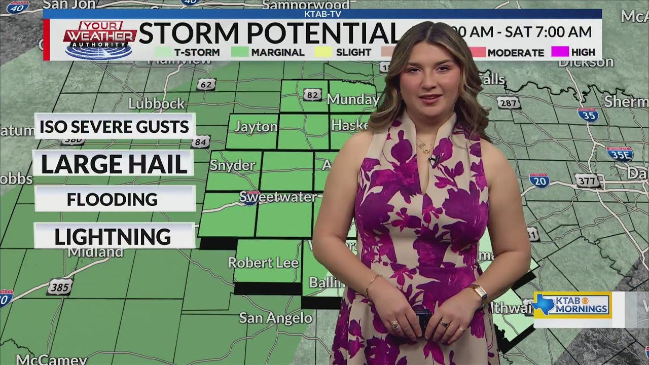 Weather Forecast: February 12, 2026