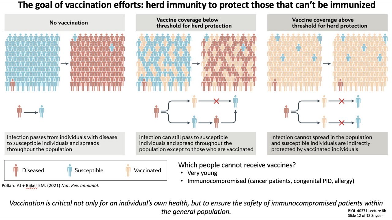 Lecture 8b: Vaccine Design