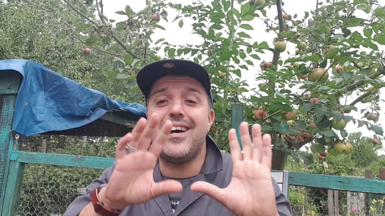 موضوع هام للغاية (البدالة القلش/ الاختصاص بالنسبة للحمام الزاجل )