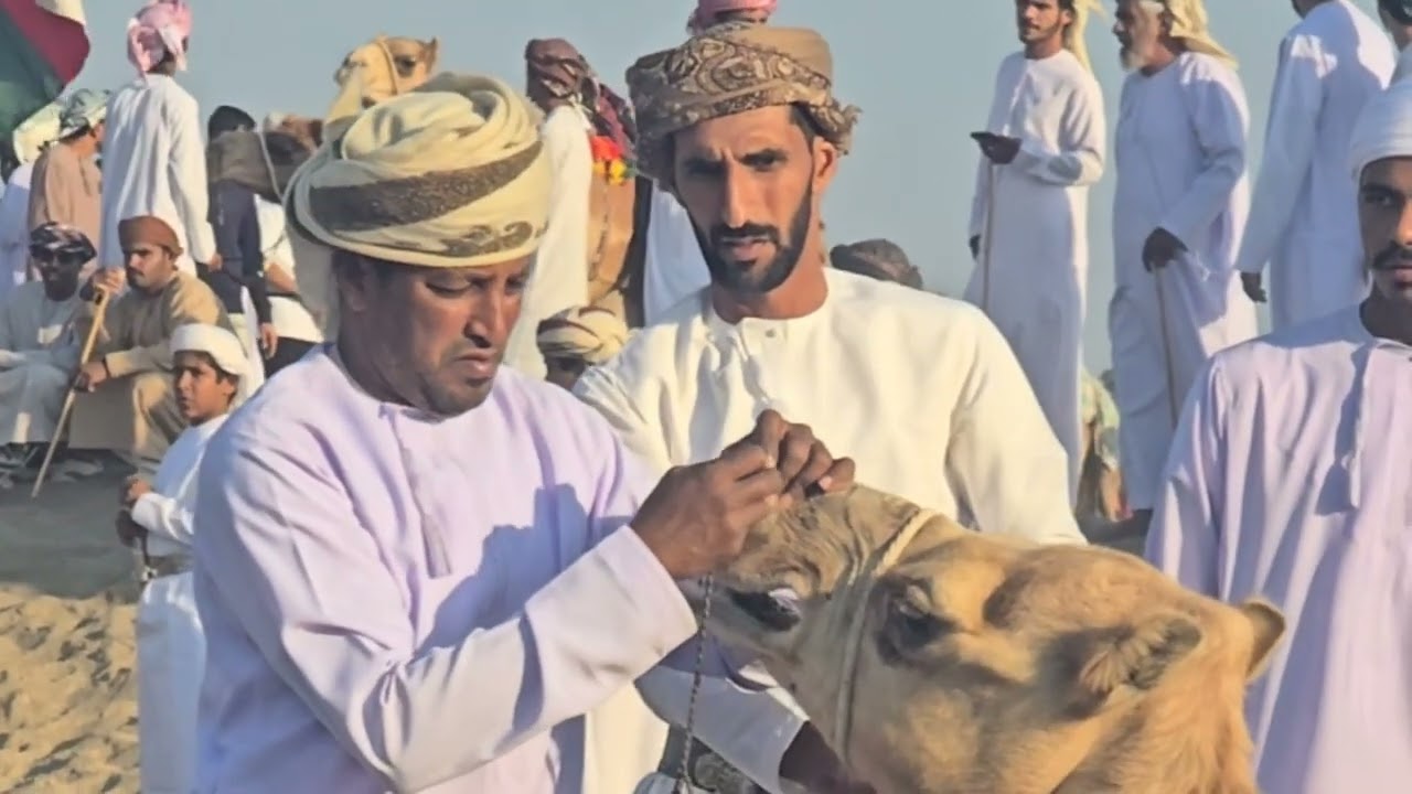 مركاض العرضة  مهرجان سوادي الحكمان النسخة التاسعة