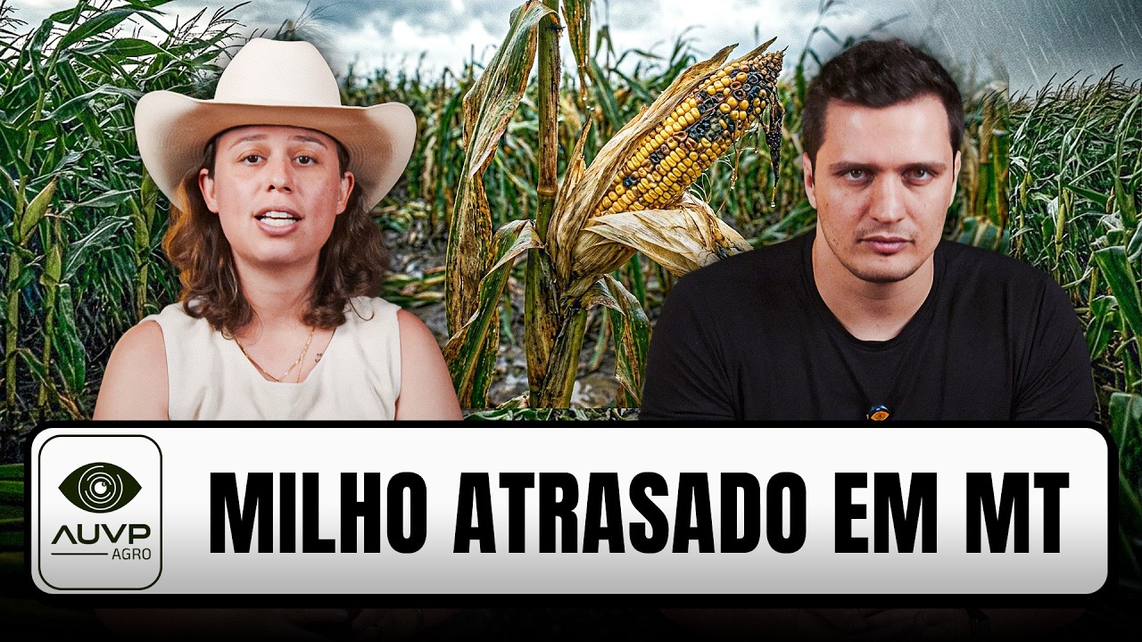 Atraso no milho em Mato Grosso e tensão jurídica na soja | Giro do Agro