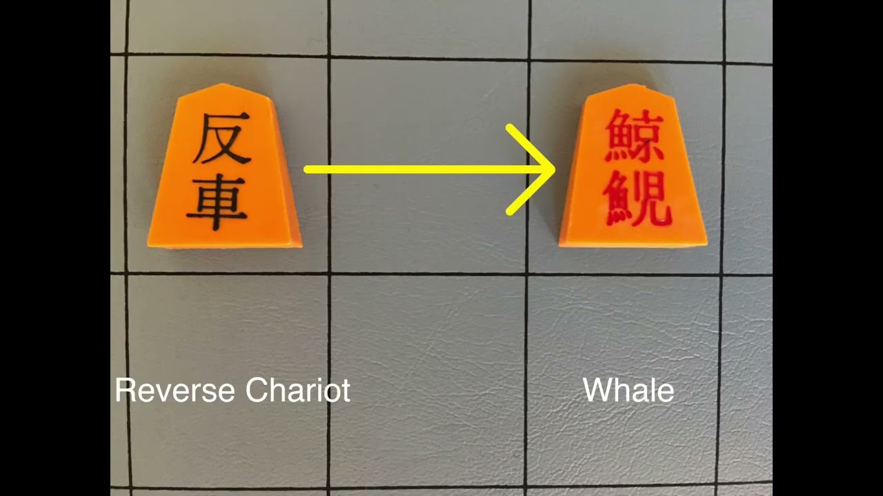 How to Play Dai Shogi (大将棋), Part Three: Promotions