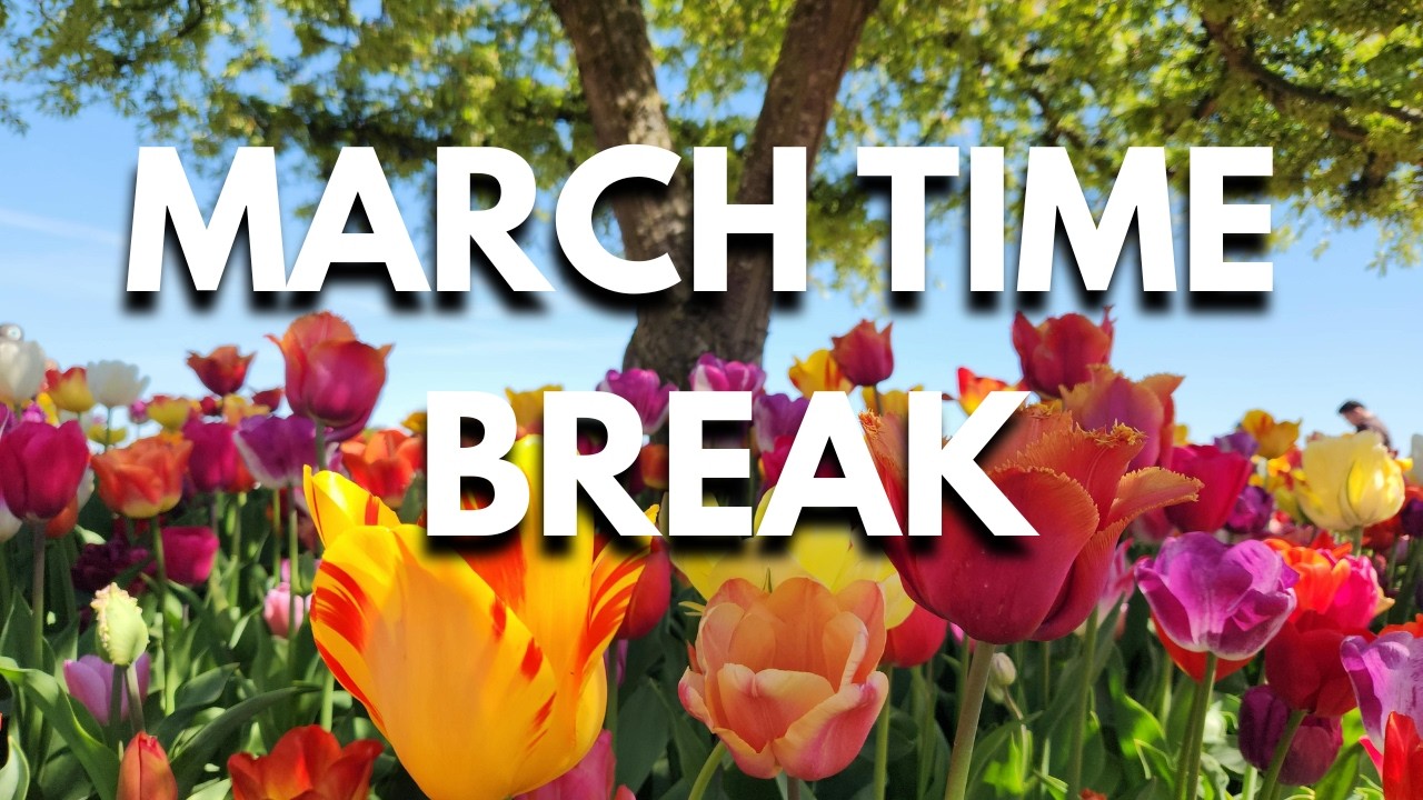 Where to Go in March: Best Spring Holiday Spots