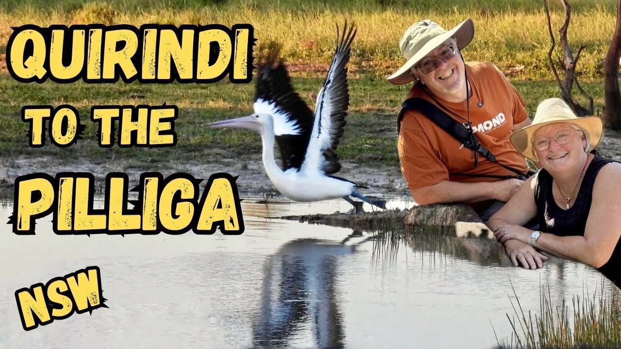 Квиринди в The Pilliga. Новый Южный Уэльс
