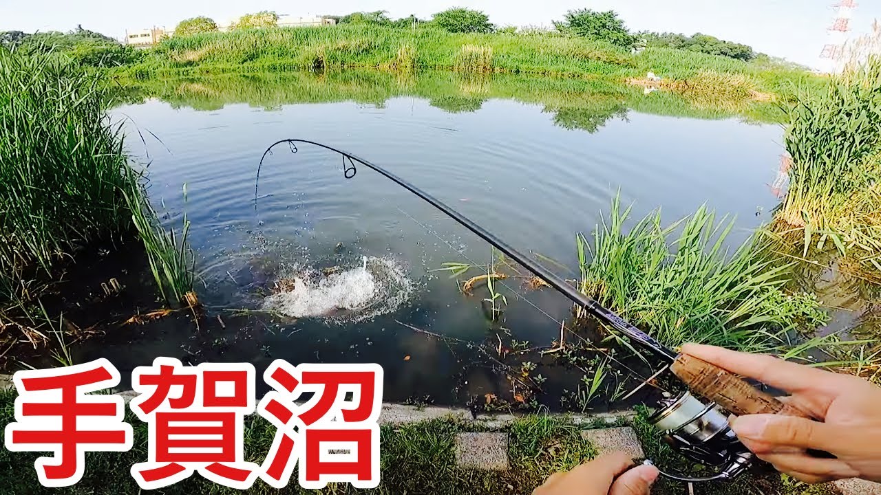 【手賀沼】見えバスだらけでめっちゃ楽しい❗️✨^ ^