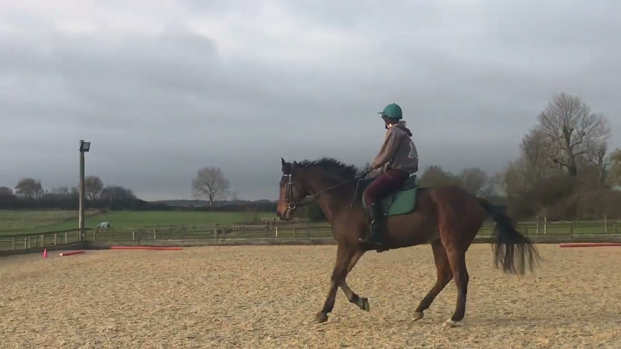 E-riders November 2025 - ROR BD Prelim 3 (2024) - J. Pearce & Sams Comet