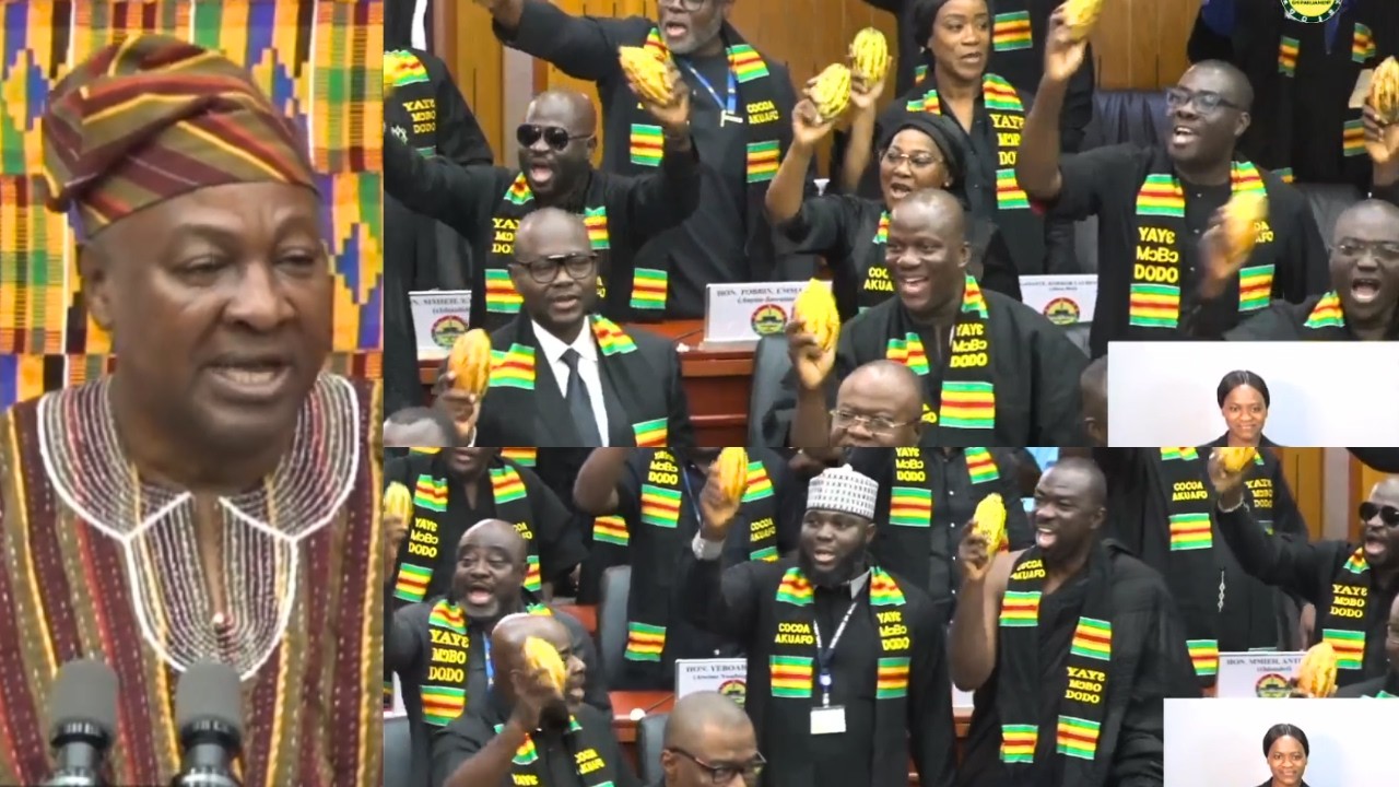 VIDEO! Parliament On Heat, Mahama Snubs NPP MPs & Makes Afenyo's Ṕrotëst With Colleagues Falls Down