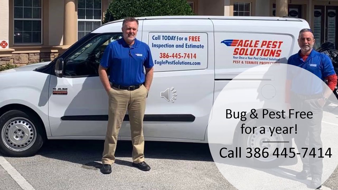 Eagle Pest Solutions - Pest Control Service Palm Coast, Florida, USA | Pest Control Company