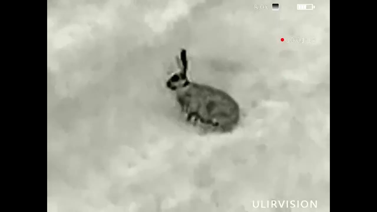 ULIRVISION POLAND F635 ZAJĄC KOZIOŁ LIS