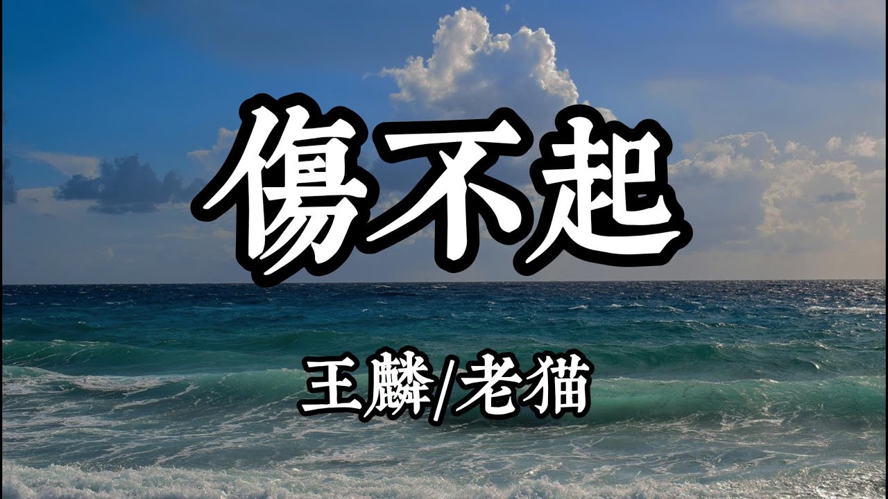 王麟/老貓 - 傷不起『傷不起真的傷不起 我想你想你想你想到昏天黑地』（動態歌詞/Lyrics Video）