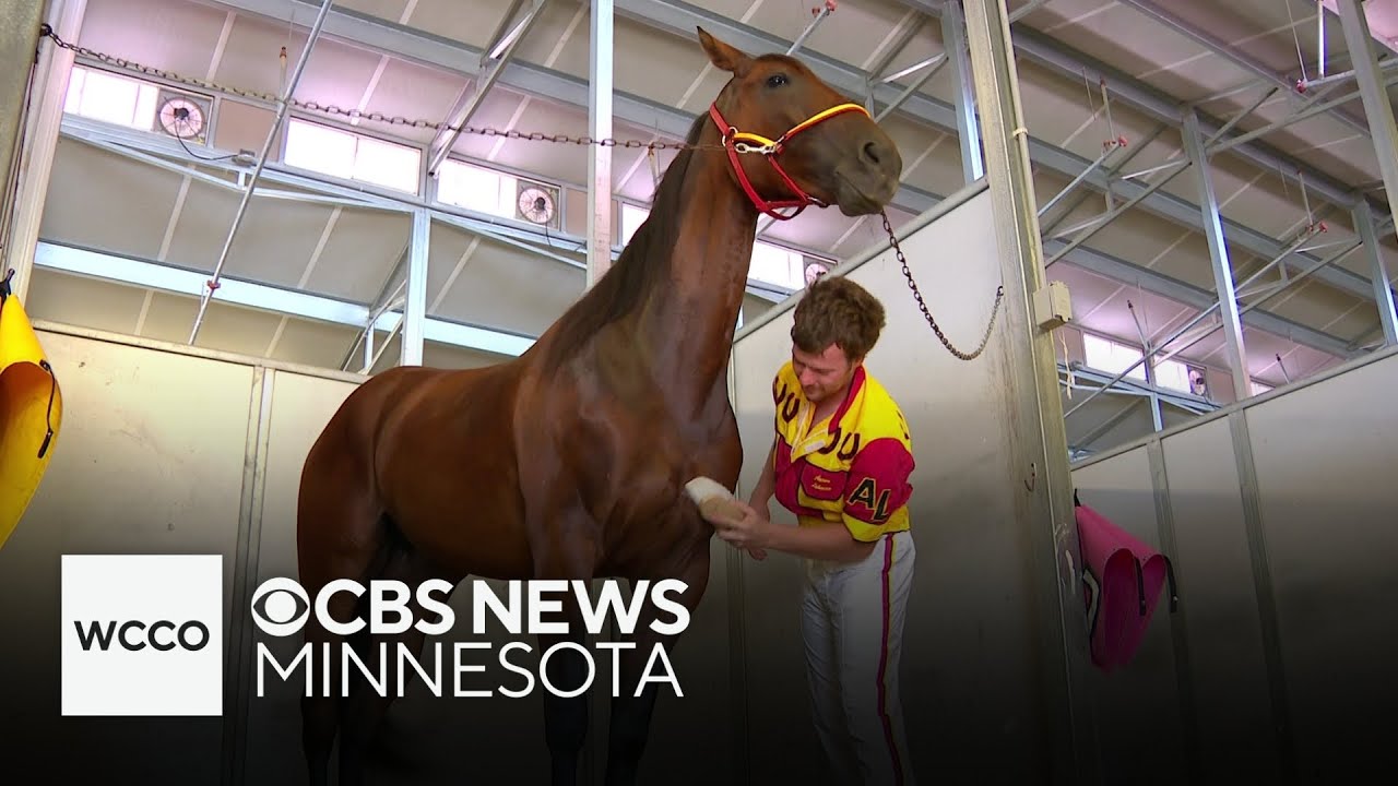 Meet the Minnesota horse topping the racing charts in North America