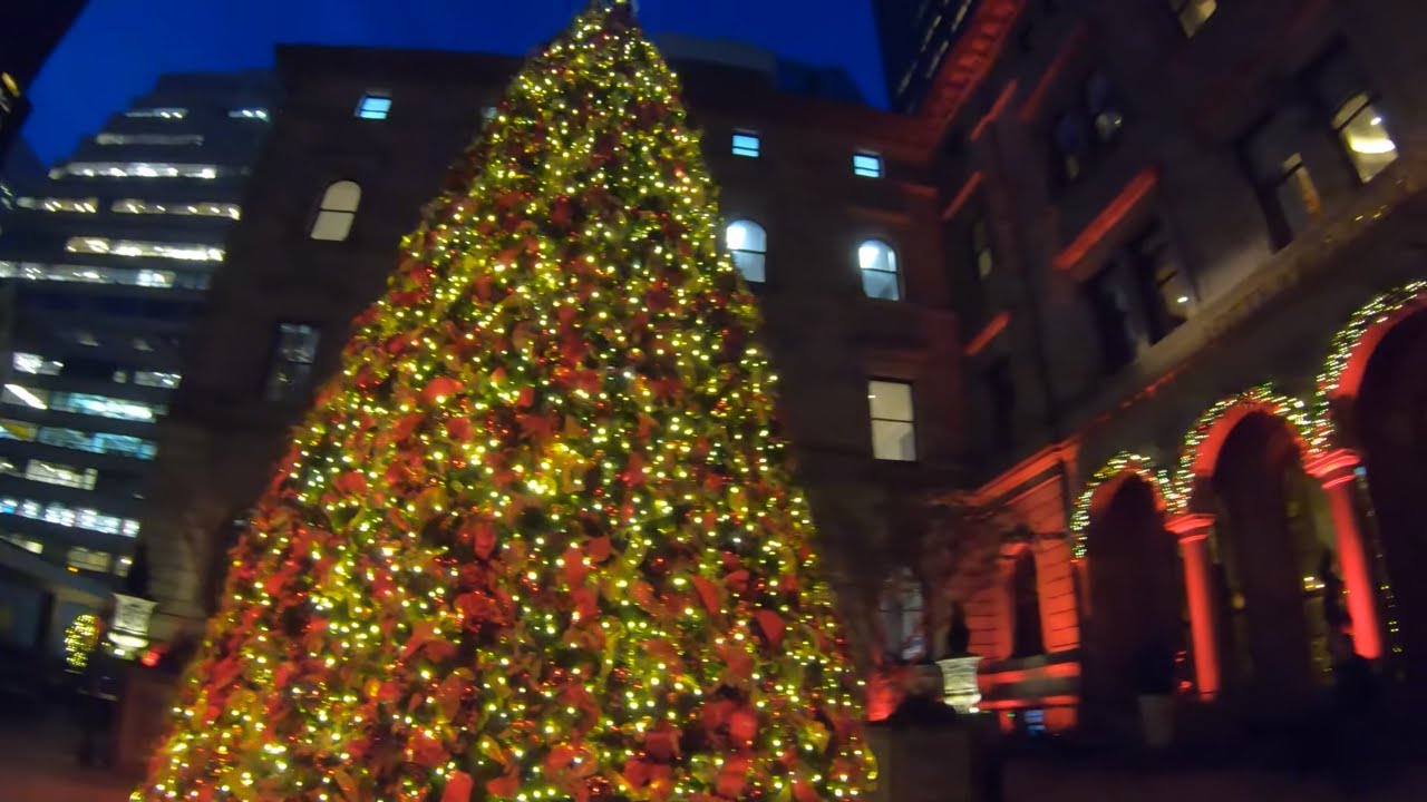 ⁴ᴷ⁶⁰ Walking NYC (Narrated) : Grand Central Terminal to Lotte New York Palace Hotel (November 2019)
