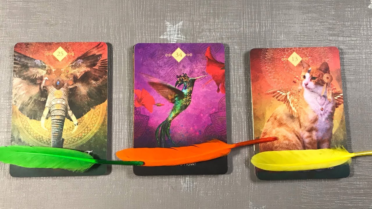 Pick a Card | 💗 Who Is Your Soulmate/Future Spouse, When Will You Meet + Charms 💗 Teacup Tarot