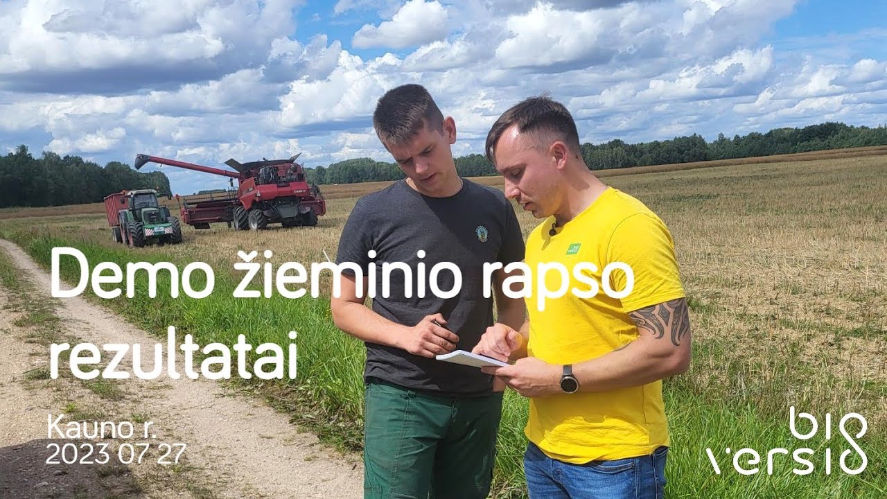 „Bioversio“ demo žieminio rapso rezultatai - derliaus nuėmimas // Kauno r. // 2023 07 27