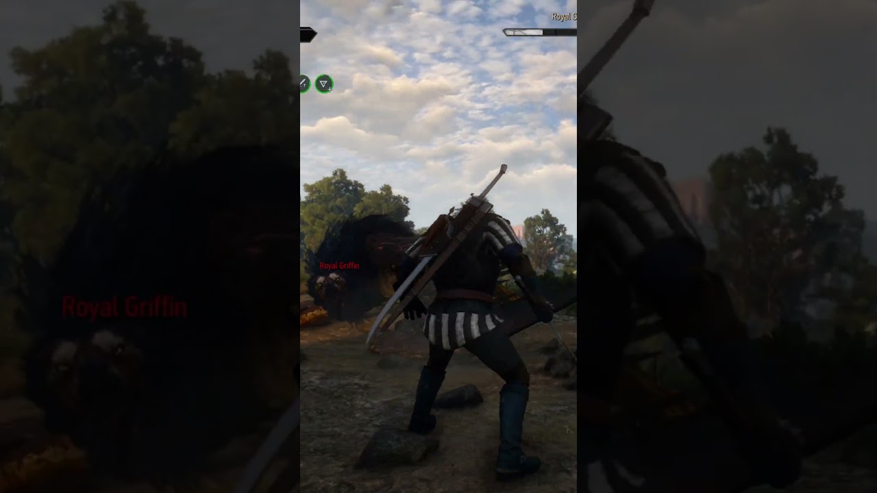 The Witcher 3 WILD HUNT Royal Griffin fight 