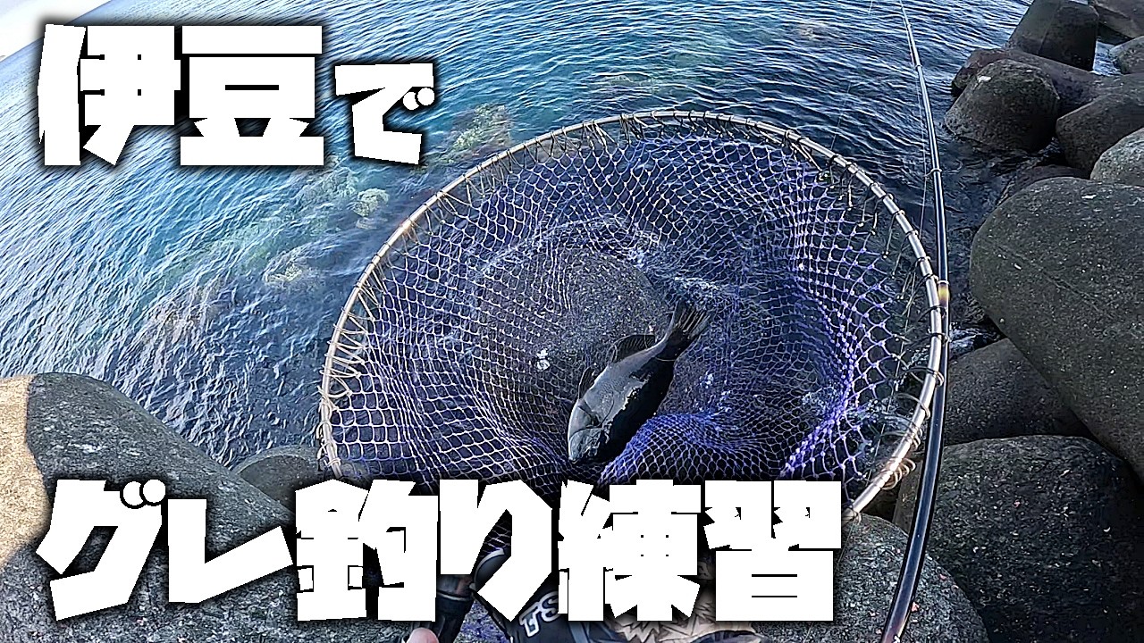 引き続きグレフカセ釣りを真剣に練習しています！【メジナ・グレ釣り】【フカセ釣り】【釣武者】