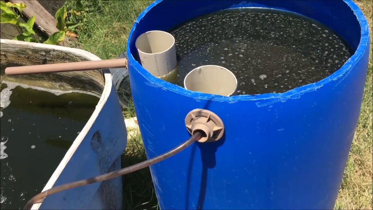 DECANTADOR PARA BIOFLOCOS COMO FAZER