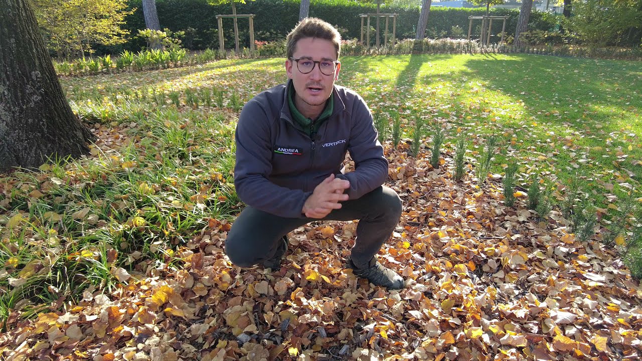RIUTILIZZA LE FOGLIE IN GIARDINO -- SCOPRI COME --