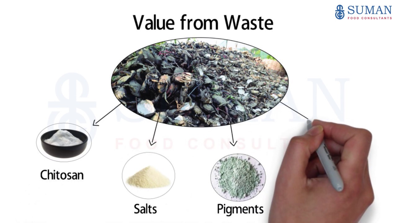 Chitosan Processing || Crab and Shrimp Shell Waste Processing || Plant by Suman Project Consultants