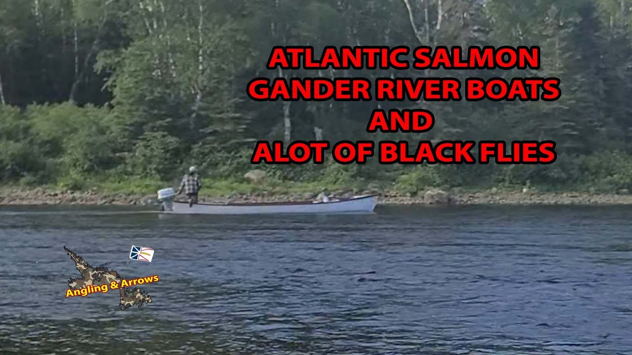 Exploring Gander River Boats: Atlantic Waters & Unseen Black Flies I Angling & Arrows