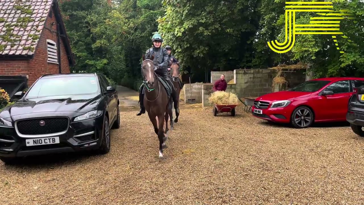 Newmarket Gallop 24/08/24 - Julia Feilden Racing