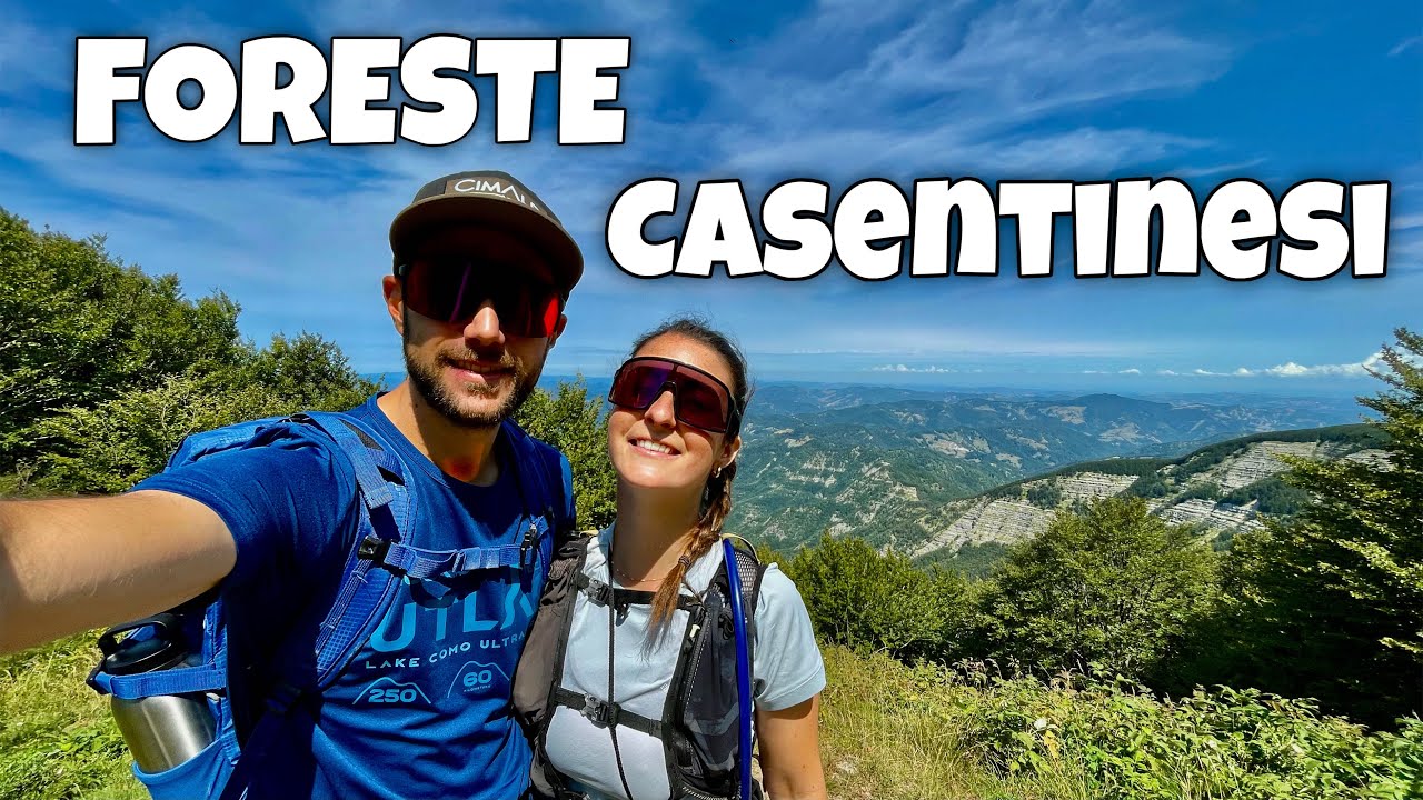 SORGENTI dell'ARNO e Monte FALCO | Escursione nelle FORESTE CASENTINESI