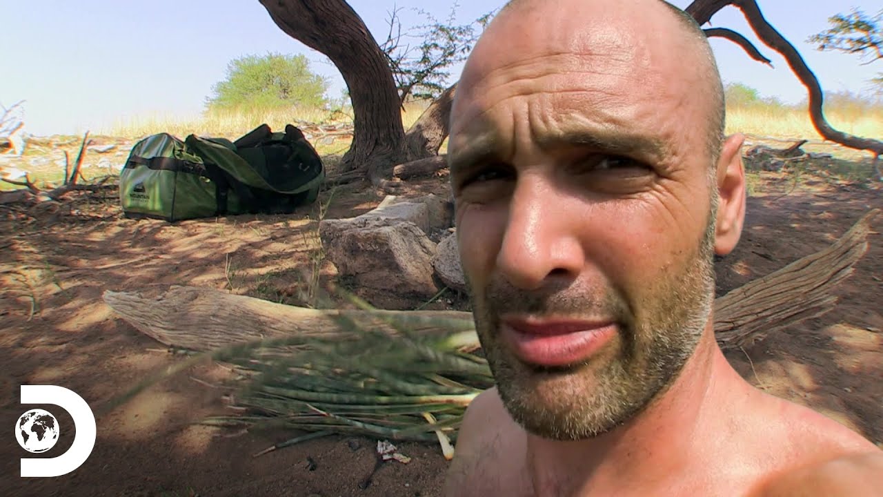 Alimentándose de insectos |  Desolado con Ed Stafford | Discovery Latinoamérica