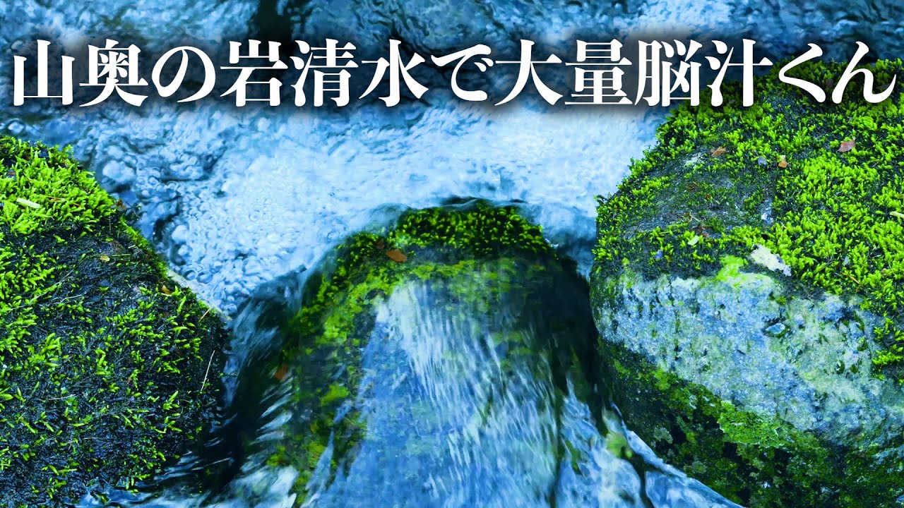 脳汁吹き出す人里離れた深い山奥の究極川音