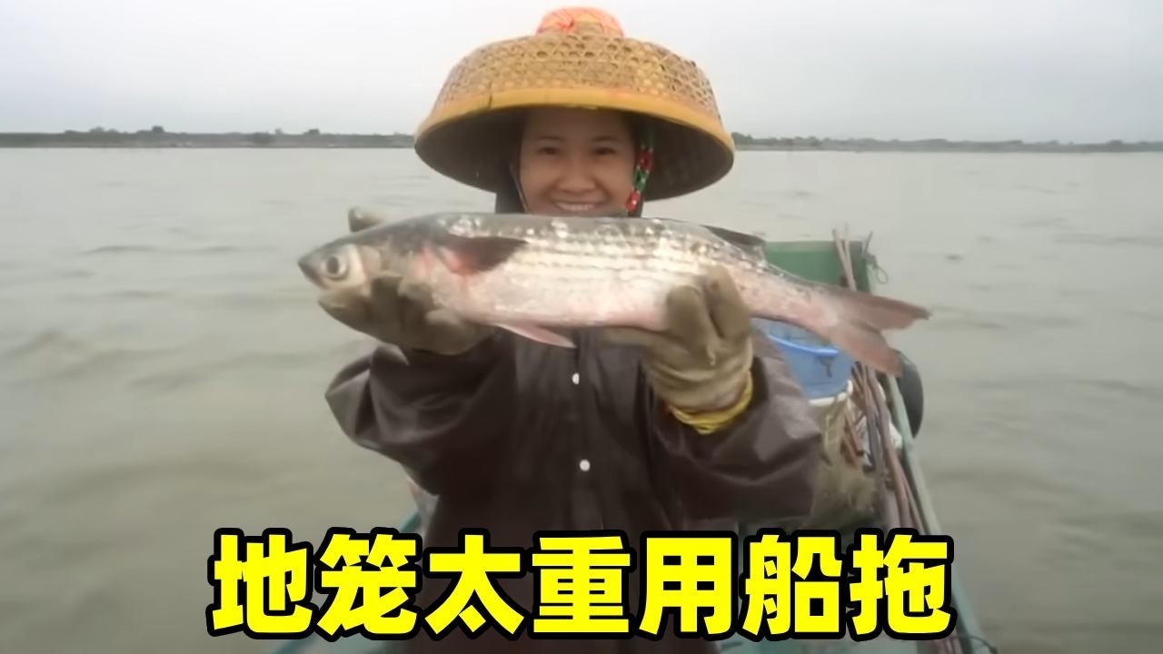 地笼太重一家人都拉不动，只能开船拖板，里面的大货让渔妹笑傻了【阿渔妹】