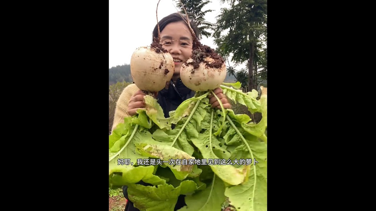 想嘎鸡的一天，哈哈哈，背时瘟桑#我的农村生活 #回农村 #农村趣事 #新农人计划2025 #单亲妈妈 #我的2025高光时刻